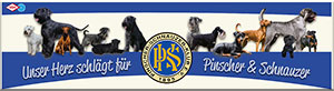 PSK Banner